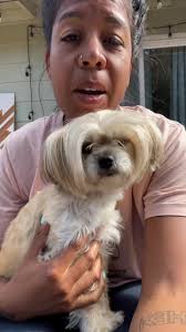 Search for Sandy: Night One Dog Rescue in Portland, Oregon