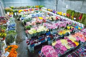 Our san diego florists are professionals who can bring your visions to life better than you can imagine. Wholesale Flowers San Diego A Flower Lovers Or Wedding Planning Bride S Dream Savoring The Sweet Life Blog