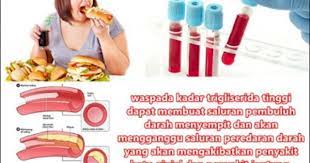 Pin Di Obat Herbal Penurun Trigliserida Tinggi Yang Cepat
