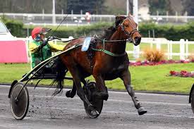 En attendant ce grand événement et pour commencer à parfaire vos pronostics, voici en. Quinte Pmu Prediction Of The Grand Prix D Amerique 26 Jan 2020 Archyde