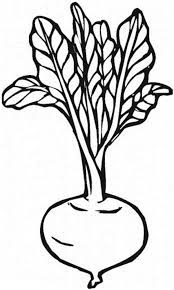 Beetroot Vegetables Coloring Page Kids Play Color Vegetable Coloring Pages Apple Clip Art Free Coloring Pages