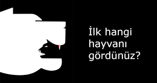 3 Hayvan Testi Ilk Hangi Hayvani Gordunuz Her Hayvanin Farkli Bir Anlami Var Hayatim Degisti Telkin Cd Leri