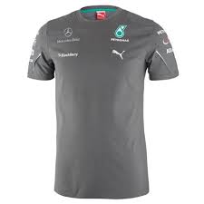 Amazon Com Puma Mercedes Amg Petronas F1 2014 Men S Team T Shirt Sports Outdoors Team T Shirts Active Shirts Mens Tops