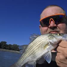 HY-VEE ANKENY COMMISSARY 4150 S.E. Delaware Ave.Ankeny, IA 50021 NOW HIRING  HELPFUL SMILES! Hy-Vee is looking for outgoing, hardworking, dedicated and  reliable employees to fill the following positions. Maintenance Technician  Sanitation Clerk