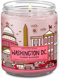 Single Wick Candles Mini Candles Bath Body Works Candles Bath Body Works Candles Mini Candles