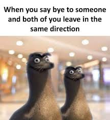Awkward Silence Funny Relatable Memes Funny Animal Jokes Funny Disney Memes
