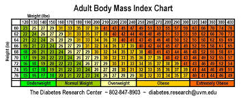 pin on exercise science