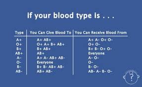 Blood Type Chart For Giving And Receiving College Stuff