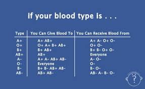Blood Type Chart For Giving And Receiving College Stuff
