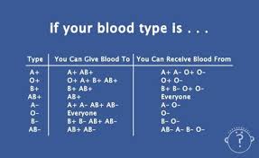 blood type chart for giving and receiving college stuff