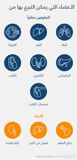 لتزويدكم بخدمة آخر خبر المجانية منcnnarabic.com ، أنتم بحاجة لملء نموذج التسجيل للخدمة الموجود في. Ù…Ø§ Ù‡ÙŠ Ø£Ø¹Ø¶Ø§Ø¡ Ø§Ù„Ø¬Ø³Ù… Ø§Ù„ØªÙŠ ÙŠÙ…ÙƒÙ† Ø§Ù„ØªØ¨Ø±Ø¹ Ø¨Ù‡Ø§ Ù…Ù† Ø§Ù„Ø£Ø­ÙŠØ§Ø¡ ÙˆØ§Ù„Ù…ØªÙˆÙÙŠÙ† Ø¯Ù…Ø§ØºÙŠ Ø§ Cnn Arabic