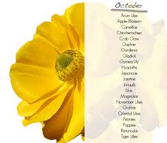White (january to october) daffodil: What Flowers Are In Season October October Wedding Flowers Fall Wedding Flowers October Flowers