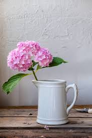 Browse our scrabble word finder, words with friends cheat dictionary, and wordhub word solver to find words starting with hyd. How To Revive Wilted Flowers