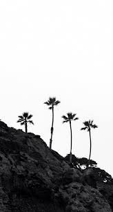 Black And White Nature Creative Wallpaper Astheticwallpaperiphoneblack Backgrounds Phone Wallpapers Phone Wallpaper White Wallpaper