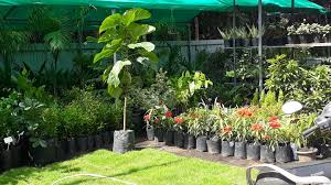 A platform for your all gardening needs. Reda Garden And Nursery Home Facebook