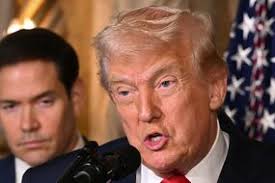 Family tribute to Kieran McQuillan, 7 killed by van days after birthday