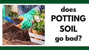 Maybe you would like to learn more about one of these? Does Potting Soil Go Bad 3 Telltale Signs Your Potting Soil Needs Help Together Time Family