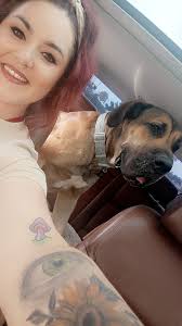 Lost dog found in Broadview, dog reunited