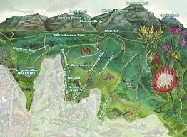 Seit 2014 führt der 130 meter lange baumwipfelpfad zwölf meter über dem grünen meer des botanischen gartens kirstenbosch durch. Kirstenbosch Virtual Tour Sanbi