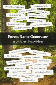 The name of the town is usually the first impression on people passing through or coming to live. Forest Name Generator 150 Forest Name Ideas Imagine Forest