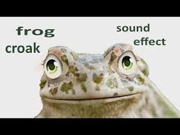 The Animal Sounds Frog Croak Sound Effect Animation Youtube Animal Sounds Animals Funny Animal Videos