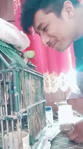 talking fun with my parrot #parrot #parrotsoftiktok #nepalitiktok #foryou  #loveyou #myfamily #myfamilymember #cute #patu #suga #parrotslover  #birdslove #