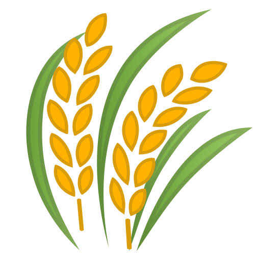 Sheaf of rice - free Icon PNG, SVG