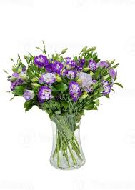 Image result for eustoma lisianthus in vase