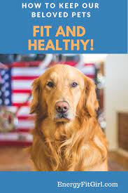 How To Keep Your Beloved Family Pets Fit And Healthy Energyfitgirl Com Losing A Dog Dogs Pets