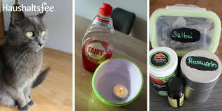 Je früher sie das problem erkennen, desto besser, denn desto weniger zeit haben die biester, sich. Flohe In Der Wohnung Effektive Hausmittel Gegen Flohe Ratgeber