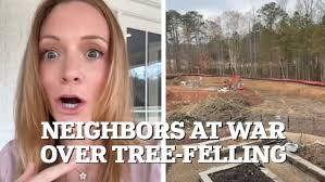 Lindsay DeFranco furious as neighbor fells HER trees without permission