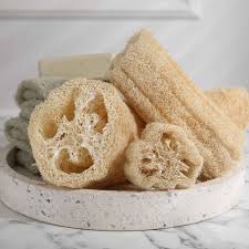Image result for Luffa