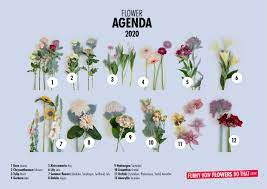 Field rose (rosa arvensis) is similar, but smaller with white pineapple weed is not native to the uk and was first recorded in the wild in britain as an escape from. Eu Houseplants Of The Month Flower Agenda For 2020 Have Been Chosen