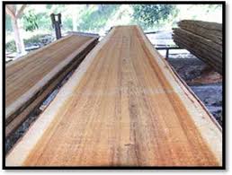 Acacia wood is rapidly gaining ground as a popular flooring option, with the number of installations done in homes and commercial properties registering an increase. Investing In Koa Forest Plantations Hawaii Forest Industry Association