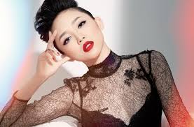 Trấn thành giả giọng nhiều ca sĩ nổi tiếng cực hay. Tiá»ƒu Sá»­ Ca SÄ© Toc Tien