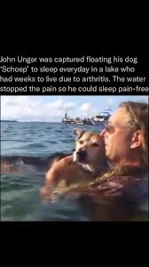 In 2012, John Unger learned that his dog named Schoep had severe arthritis  and may needed to be put down soon. He was devastated