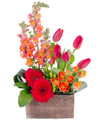 They live as rhizomatous aquatic herbs in temperate and tropical climates around the world. Strong Gentle Flower Arrangement In Wiscasset Me Water Lily Flowers And Gifts