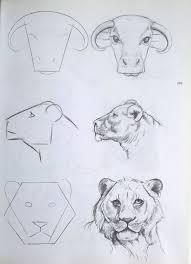 Coniglio Disegno Facile Bello Animali Disegnarli Correttamente Passo Passo Tutorial Of Conigl Disegni Facili Disegni Animali