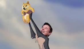 A fake profile claiming to be. Cryptocurrency Dogecoin Soars After Elon Musk Tweets