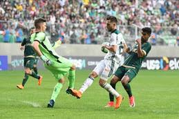 Resultado de imagem para america mg x palmeiras