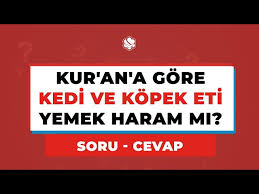 Kur An A Gore Kedi Ve Kopek Eti Yemek Haram Mi Youtube