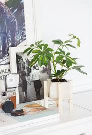 4.7 out of 5 stars. Diy Concrete Planters Fabulous Projects That Bring Greenery Indoors