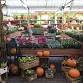 Coffee Morning/Breakfast - British Garden Centre..... event in Hemel Hempstead