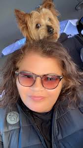 Introduction to Prince's Music through Sign of the Times Album