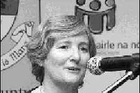 Cllrs mixed in plan response