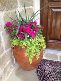 Pin By Debbie Birchman On Garden Flower Pots Outdoor Potted Plants Outdoor Creeping Jenny
