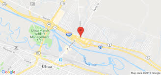 Price chopper plaza schutt road ext middletown, ny 10940. Price Chopper Utica Ny Florist 13502 Zip