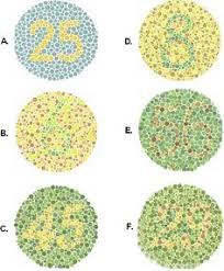 Color Blind Test For Hunter