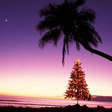 We did not find results for: Hawaiian Christmas And New Year S Words And Phrases