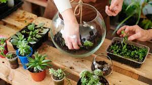 Cara membuat terrarium lebih lengkapnya bisa kamu ikuti tutorial berikut ini. Cara Mudah Membuat Terarium Rumah Com